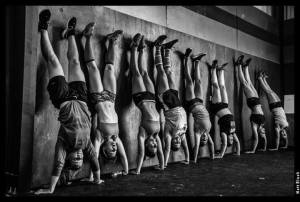 1382387_585635251496435_8588105_n