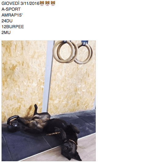 schermata-2016-11-05-a-23-13-17