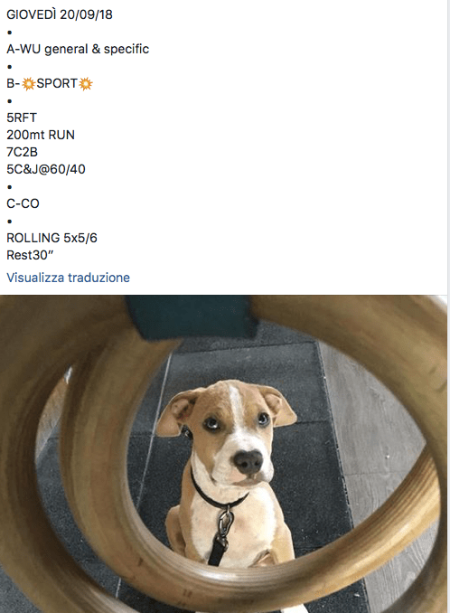 Schermata 2018-09-27 alle 19.05.02.png