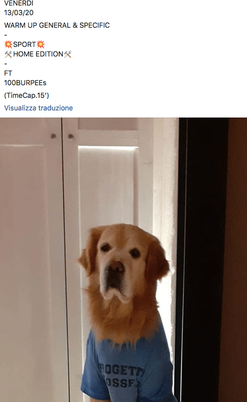 Schermata 2020-03-21 alle 14.33.47